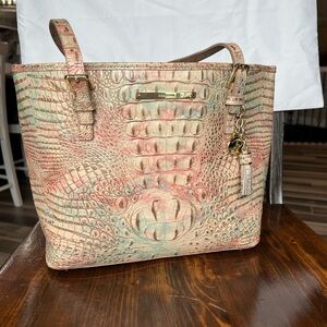 Brahmin medium Asher